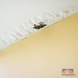 How long does it take for a ceiling to dry after a leak? Water Roof Leak